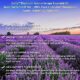 Calily-Aromatherapy-Essential-Oil-Set-6-Bottles10ml-each-Lavender-Tea-Tree-Eucalyptus-Lemongrass-Sweet-Orange-Peppermint-0-2