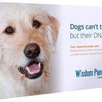Mars-Veterinary-Wisdom-Panel-25-Breed-Identification-DNA-Test-Kit-0