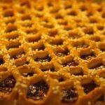 Country Molasses Pie